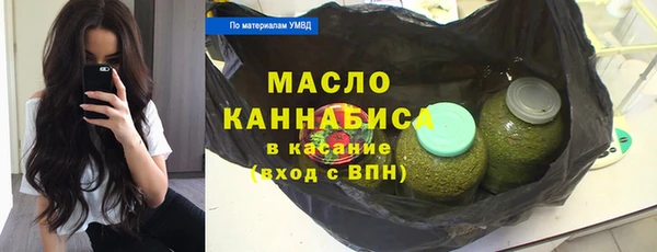 индика Бугульма