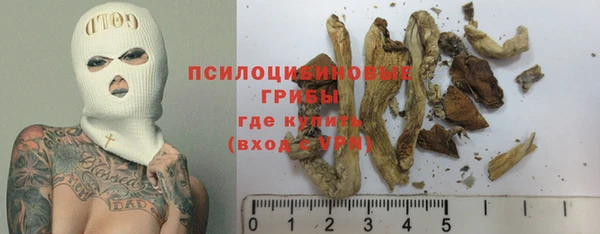 амфетамин Богданович