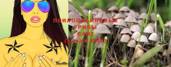 MDMA Premium VHQ Богородск