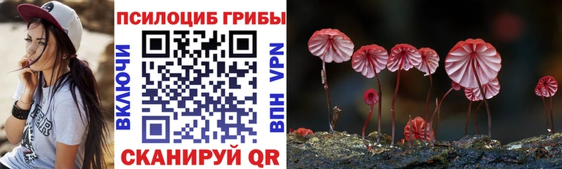 купить   Микунь  Галлюциногенные грибы ЛСД 